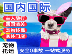 石家庄机场物流国际宠物托运 【国